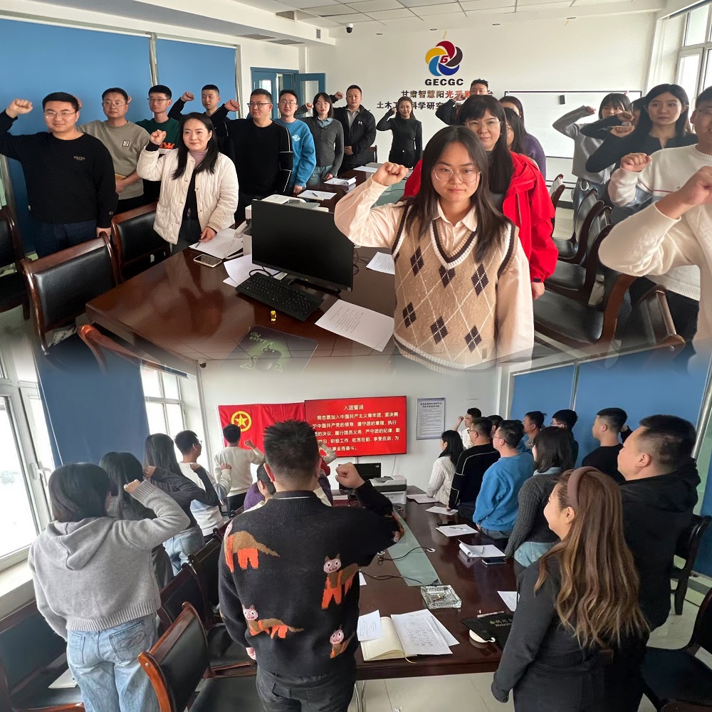 青春心向黨 建功新時代│公司團委召開團員和青年主題教育專題組織生活會